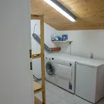 Kleiner Spatz * Leutkirch im Allgäu